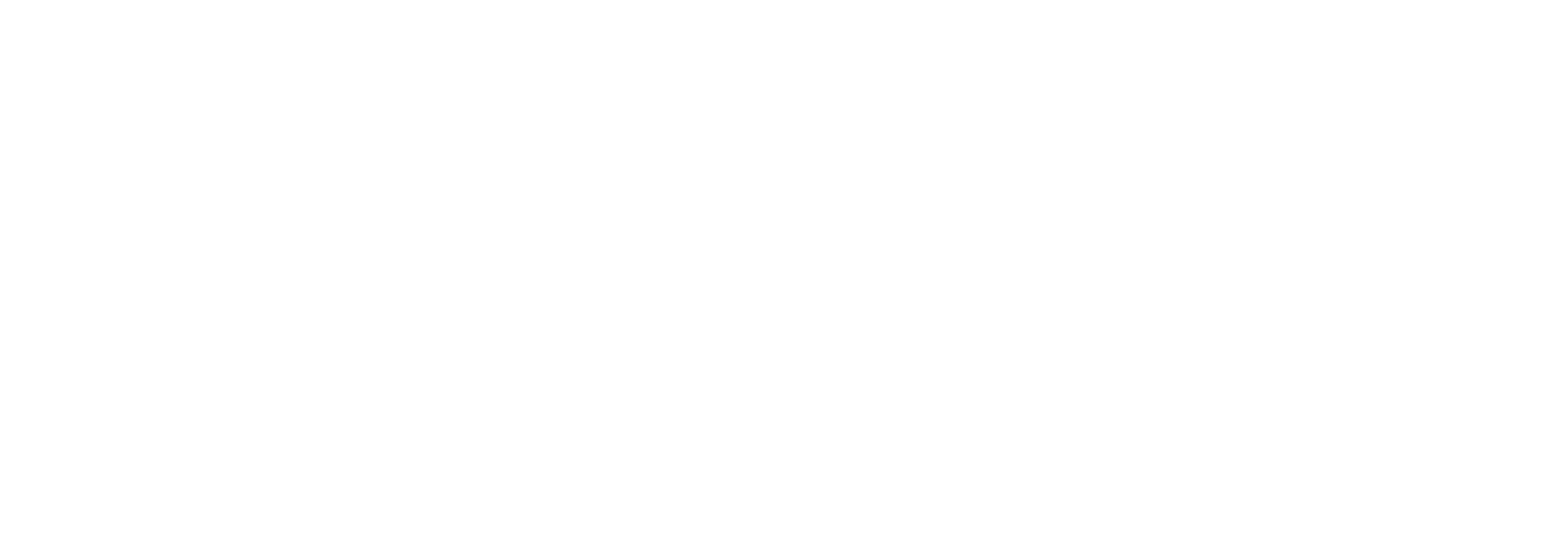 CLOUDVICE — Live the AI Cloud
